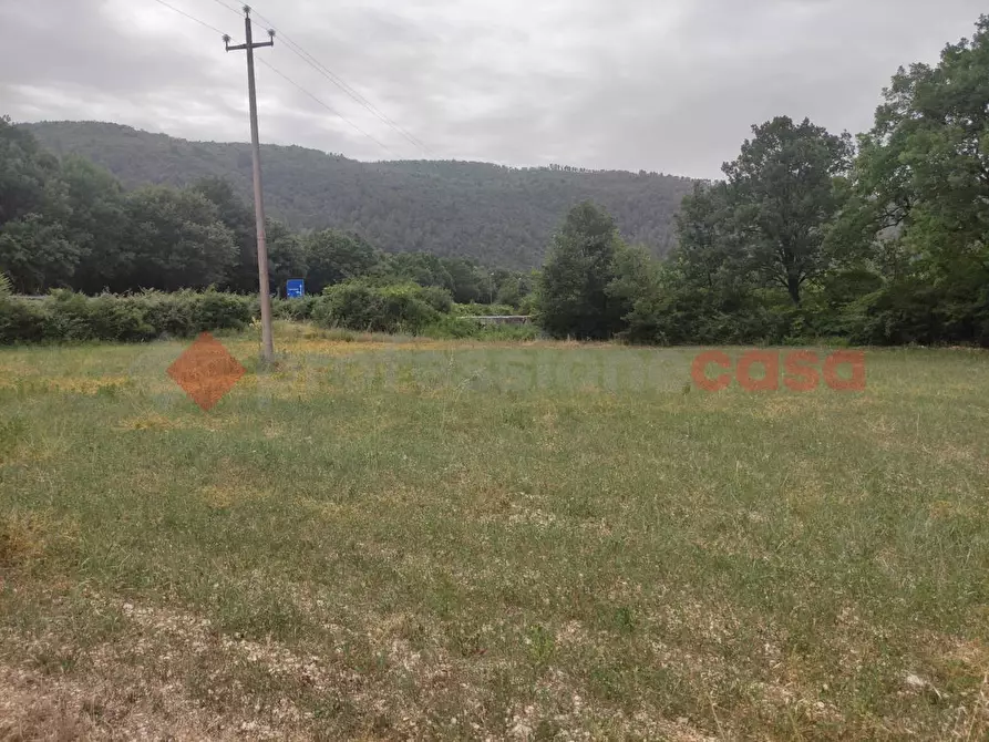 Immagine 3 di Terreno agricolo in vendita  in LocalitÃ  Napoletto a Spoleto
