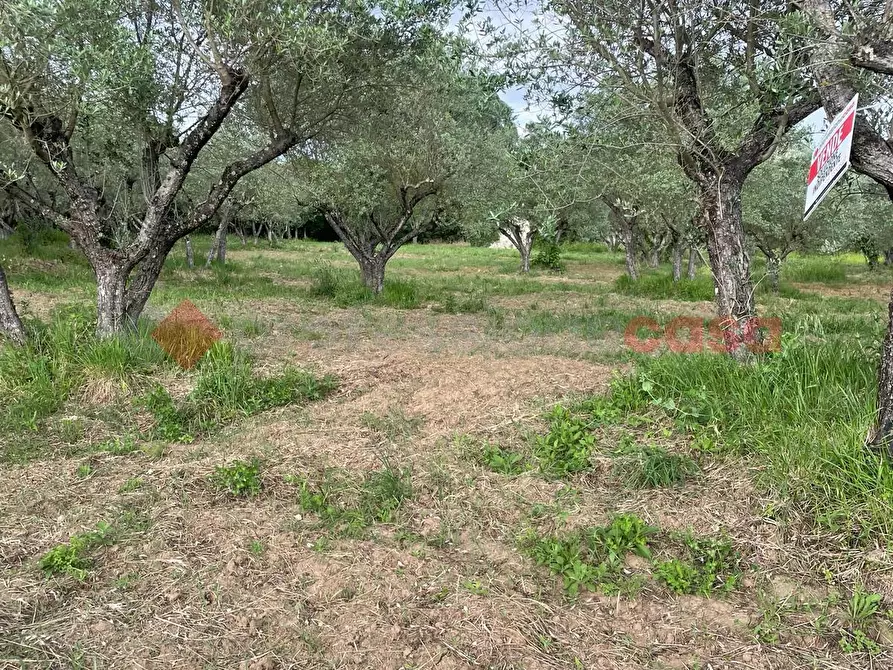 Immagine 6 di Casa indipendente in vendita  in Via paterno, snc a Anagni