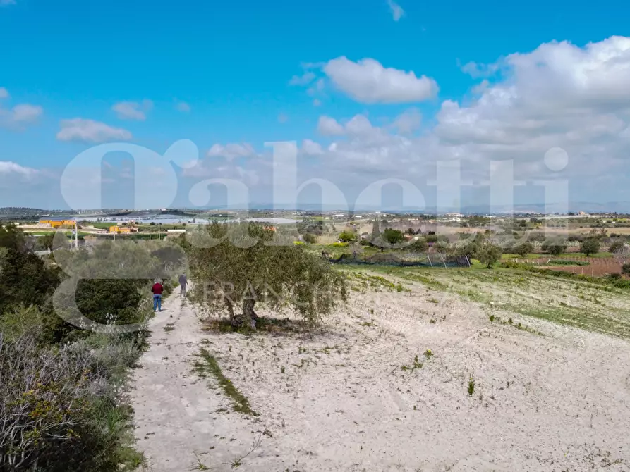 Immagine 1 di Terreno agricolo in vendita  in Strada consortile s.lorenzo, . a Noto