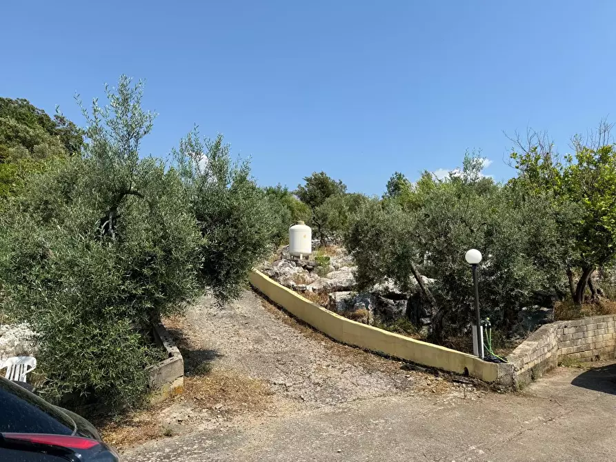 Immagine 13 di Villa in vendita  in Via Carbonara, 11 a Sonnino