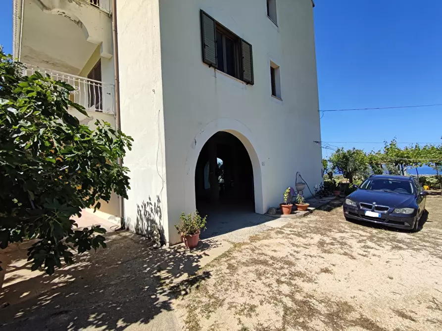 Immagine 8 di Palazzo in vendita  in Via SANTA LUCIA, 41 a Davoli