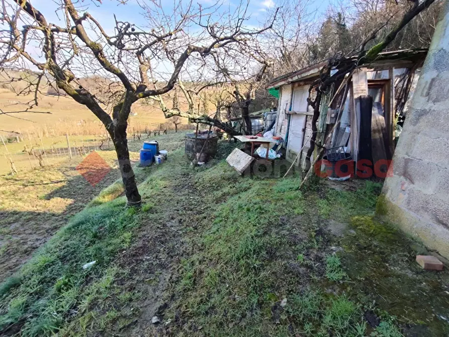 Immagine 8 di Terreno agricolo in vendita  in Via vallone a Castelfiorentino