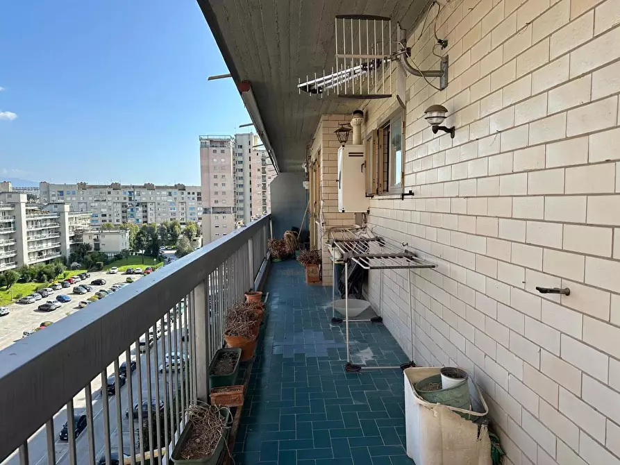 Immagine 11 di Appartamento in vendita  in Via Mario Pomilio, 9 a Napoli