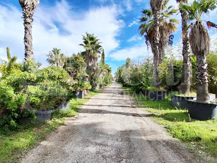 Immagine 35 di Terreno agricolo in vendita  in Contrada gaddimeli, snc a Ragusa