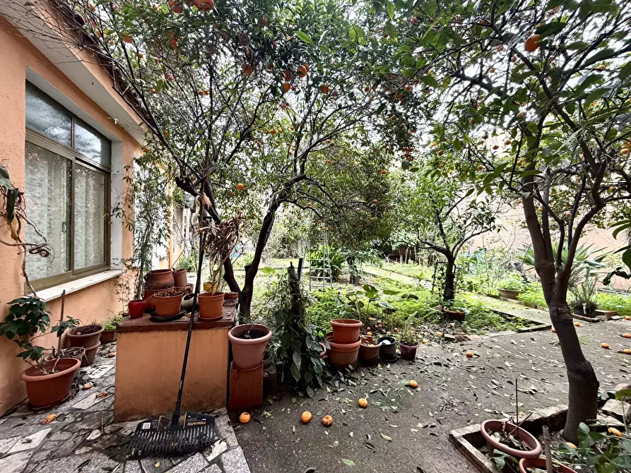 Immagine 15 di Casa indipendente in vendita  in Via UMBERTO, SNC a Maracalagonis