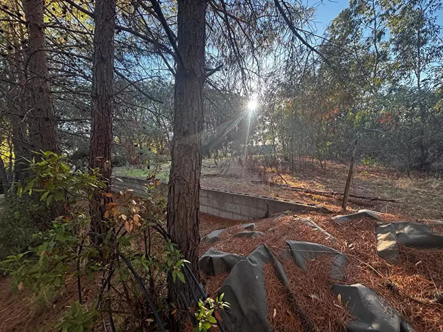 Immagine 6 di Casa trifamiliare in vendita  in LocalitÃ  Perdu Sarigu, snc a Teulada