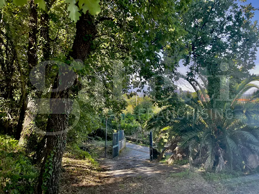 Immagine 25 di Casa indipendente in vendita  in Via De Pretis a Santa Venerina
