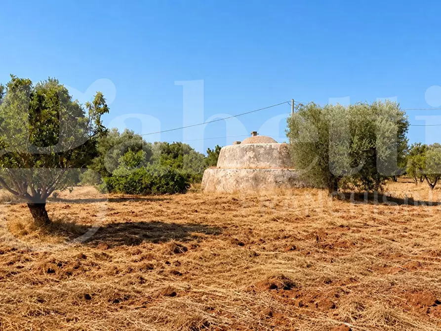 Immagine 9 di Rustico / casale in vendita  in Contrada Tamburroni, sn a Ostuni