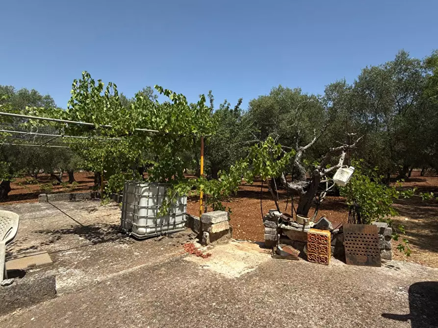 Immagine 3 di Terreno residenziale in vendita  in Contrada CERVARULO, 00 a Monopoli