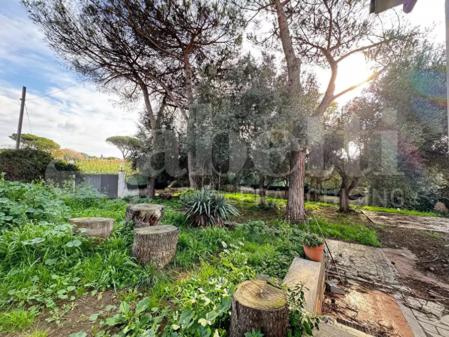 Immagine 4 di Casa bifamiliare in vendita  in Via tirso, 48 a Ardea