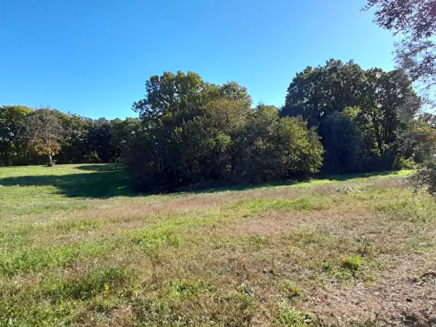 Immagine 7 di Terreno agricolo in vendita  in Via DELLA MOLA, 00 a Manziana