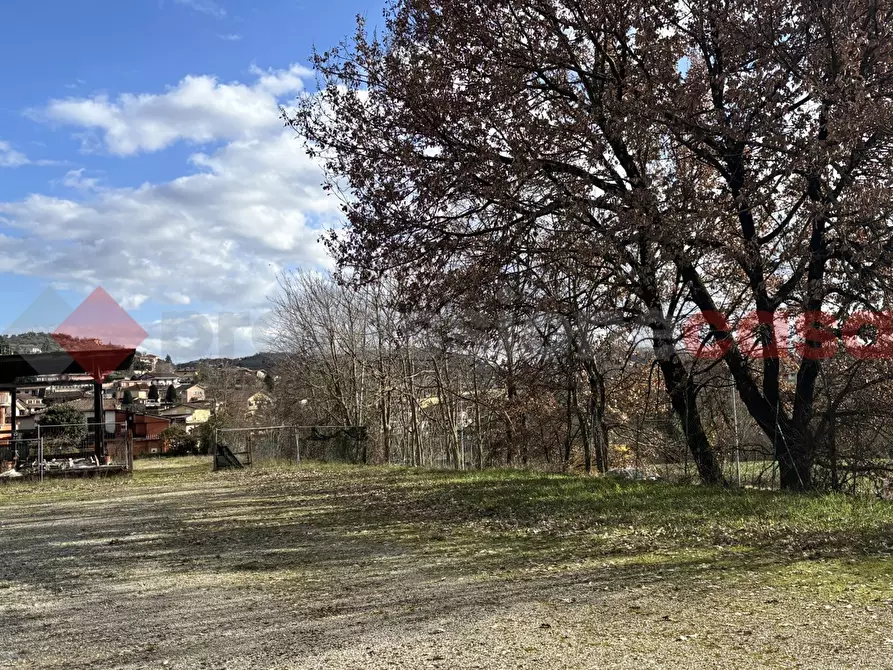 terreno agricolo in vendita ad Alatri