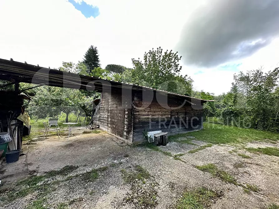 Immagine 10 di Terreno agricolo in vendita  in Via DELLA FIORA, 00 a Manziana
