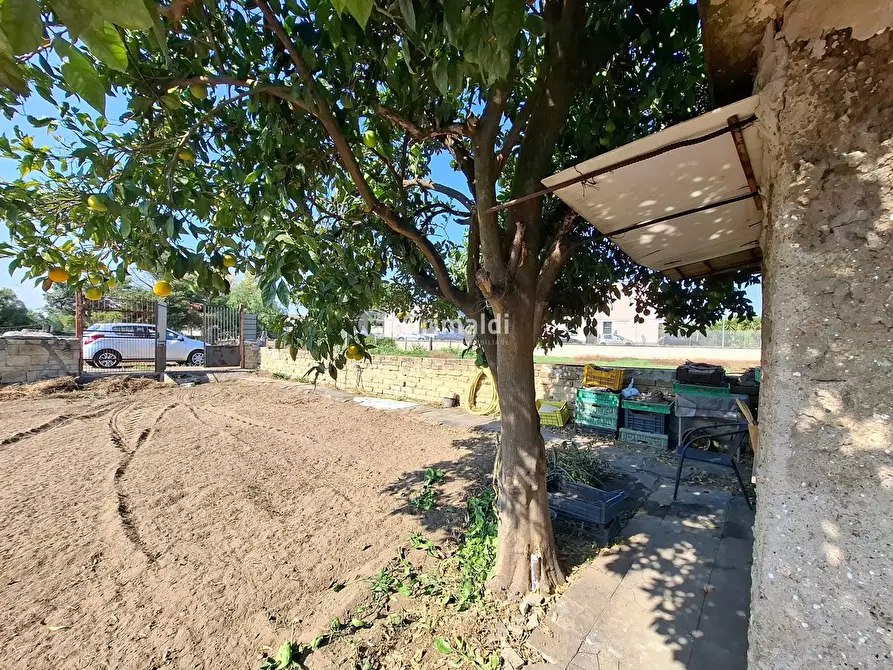 Immagine 8 di Terreno agricolo in vendita  in Via Donatello, 12 a Acerra