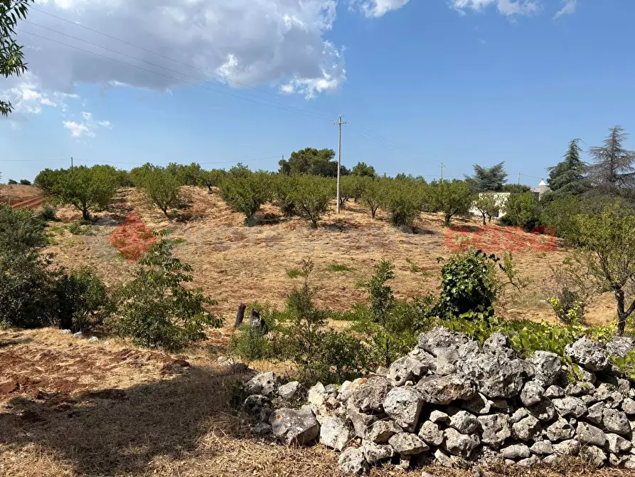 Immagine 11 di Terreno residenziale in vendita  in Contrada Fantese, snc a Ostuni