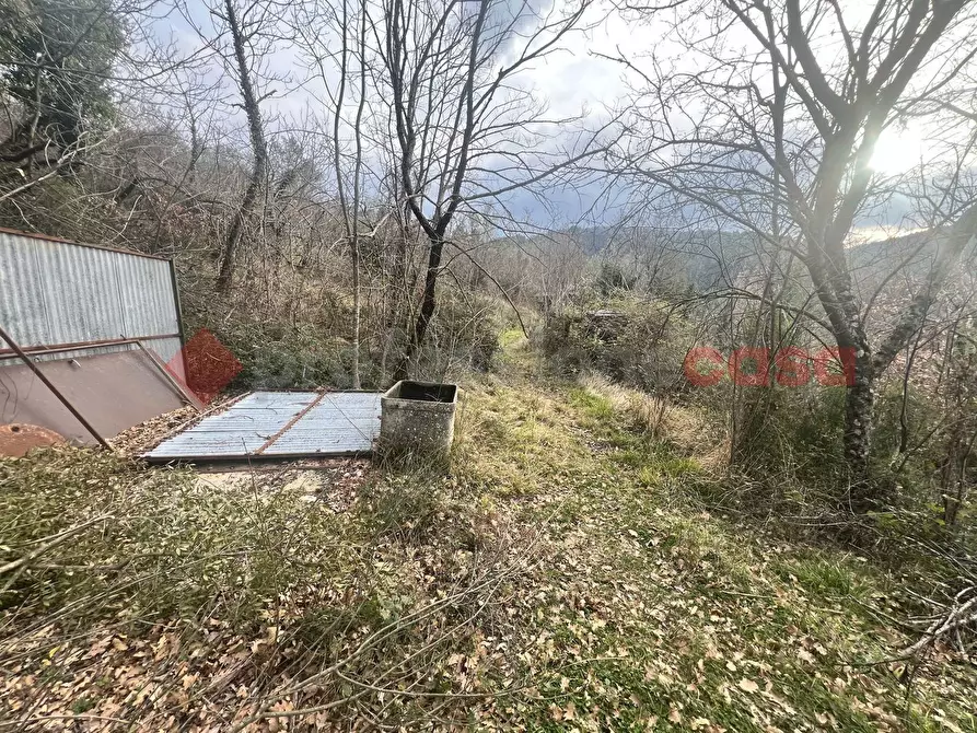 Immagine 10 di Terreno agricolo in vendita  in LocalitÃ  Rubbiano a Spoleto