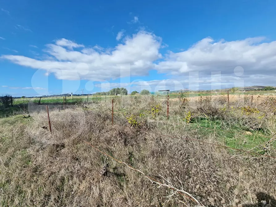 Immagine 7 di Terreno agricolo in vendita  in Strada provinciale 9, snc a Sestu