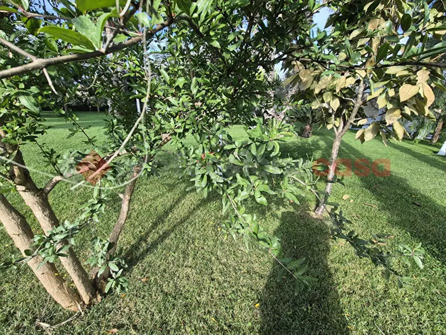 Immagine 15 di Bar / Ristorante in vendita  in Contrada MARTINA, SNC a Latiano