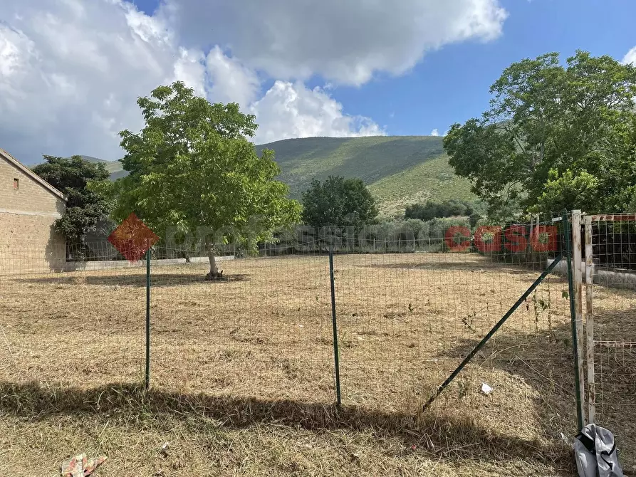 Immagine 5 di Terreno residenziale in vendita  in Via Leporano, snc a Camigliano