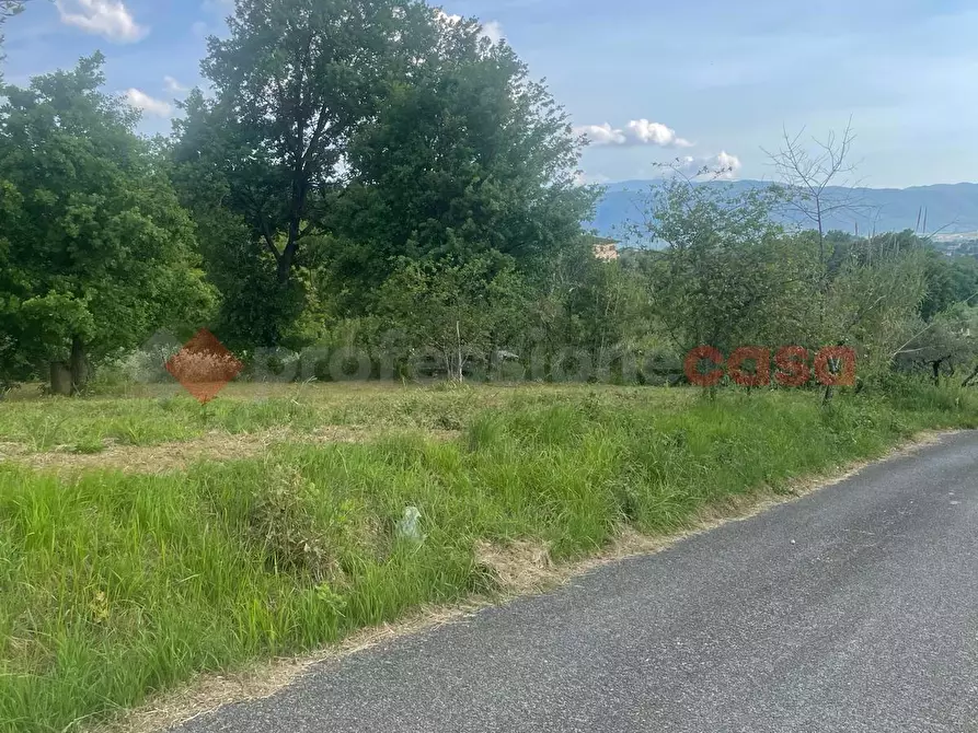 Immagine 2 di Casa indipendente in vendita  in Via paterno, snc a Anagni