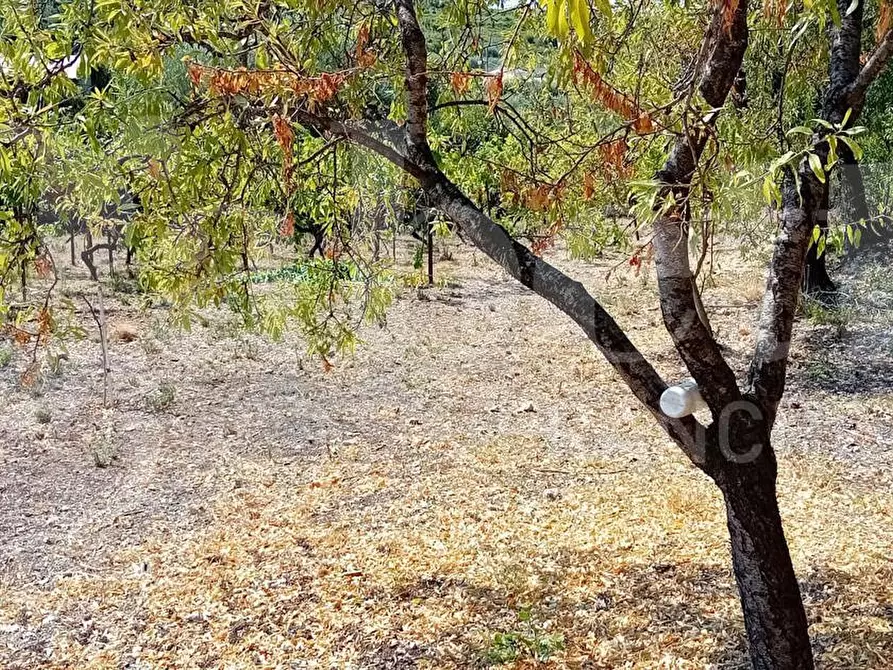 Immagine 15 di Rustico / casale in vendita  in Via Sant'Agostino, s.n.c. a Gaeta