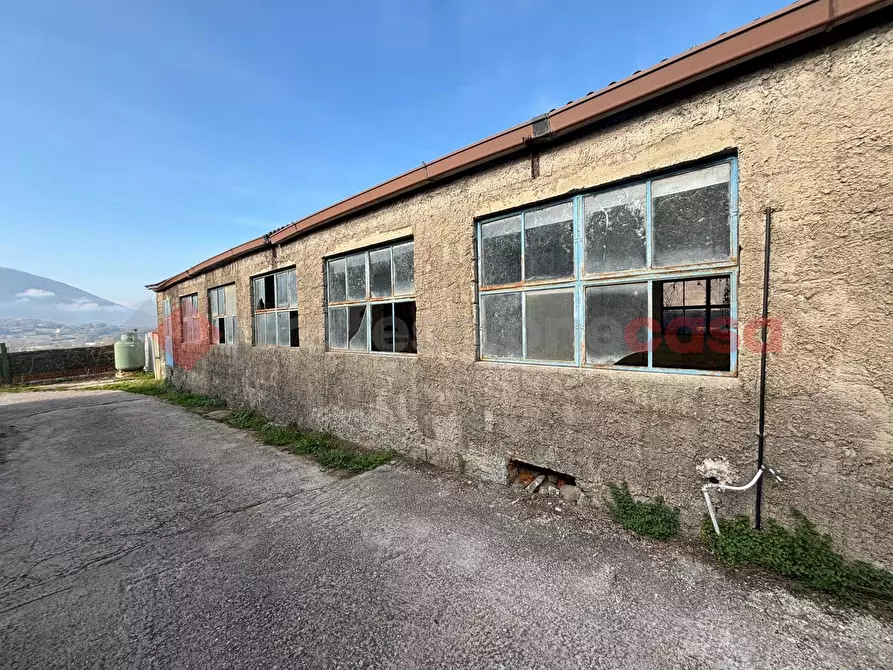 Immagine 14 di Capannone industriale in vendita  in Via Capannaccio, 1 a Anagni