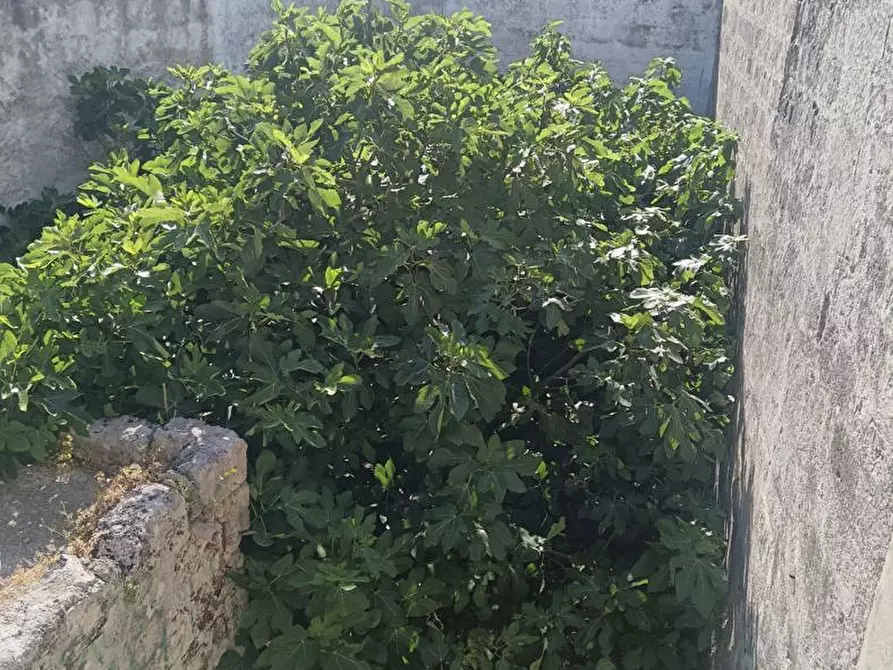 Immagine 1 di Appartamento in vendita  in Via TRENTO, 4 a Crispiano