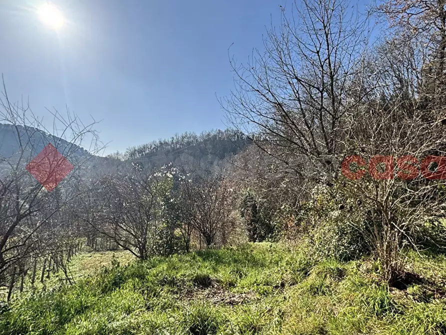 Immagine 20 di Rustico / casale in vendita  in Via Monte San Marino, snc a Alatri