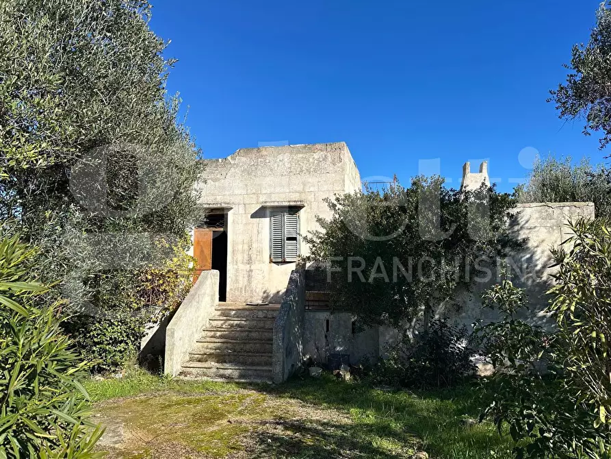 Immagine 3 di Villa in vendita  in Contrada Sessana Piccola, sn a Ostuni