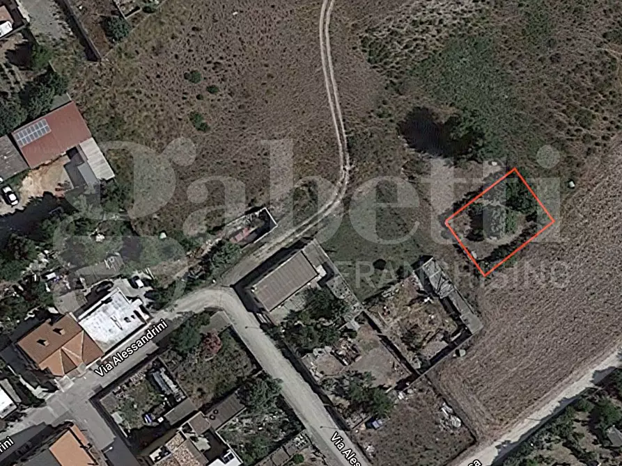 Immagine 6 di Terreno agricolo in vendita  in Via Alessandrini, snc a Maracalagonis