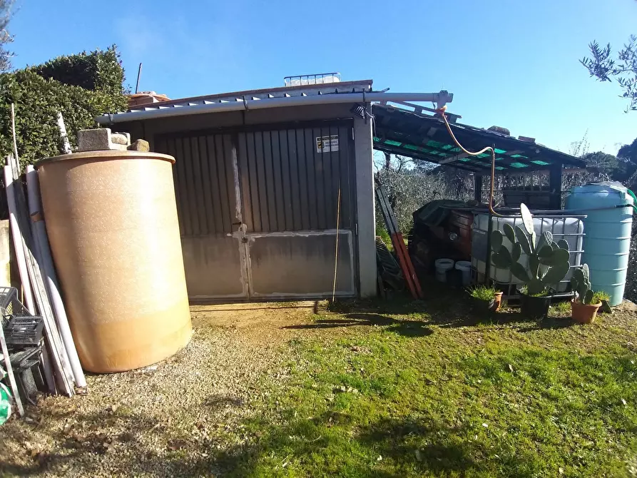 Immagine 11 di Terreno agricolo in vendita  in Via Provinciale di Malmantile a Castelfiorentino