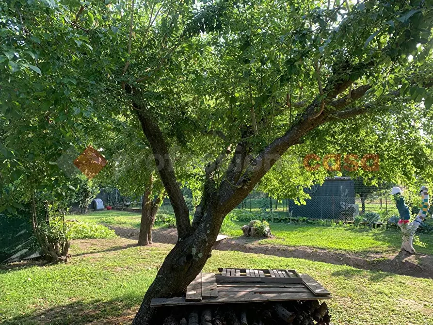 Immagine 5 di Casa bifamiliare in vendita  in Via di boboli, 12 a Lucca