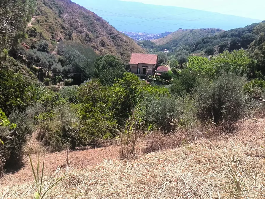 Immagine 17 di Terreno agricolo in vendita  in Via Comunale Catarratti, 106 a Messina