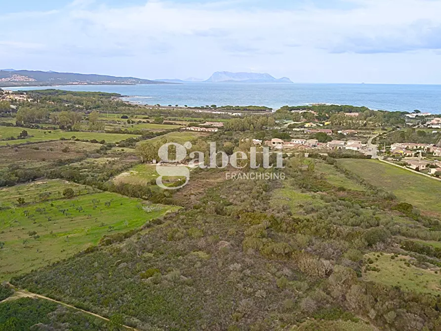 Immagine 3 di Terreno agricolo in vendita  in Via Baia Sant'Anna, snc a Budoni