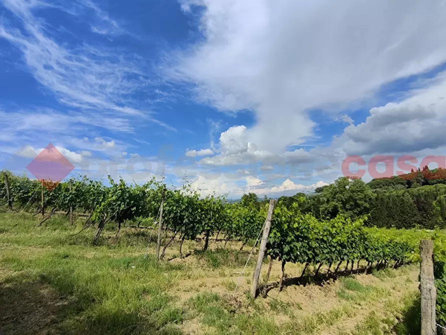 Immagine 39 di Terreno agricolo in vendita  in Via di castagneto a Empoli