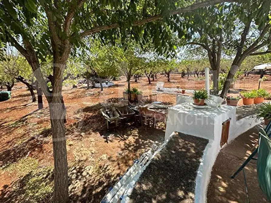 Immagine 24 di Villa in vendita  in Contrada VATO APERTO, sn a Ostuni