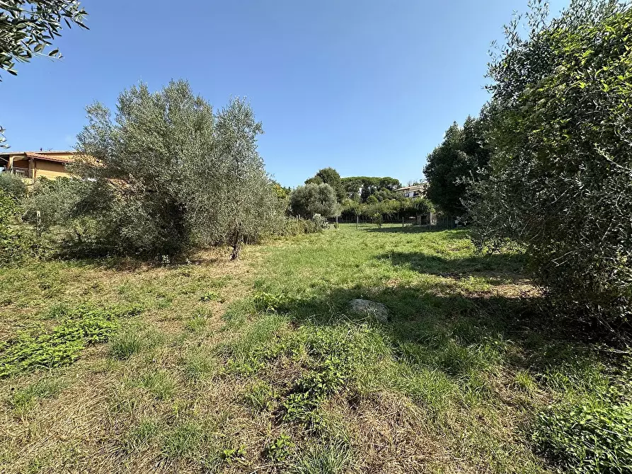 Immagine 1 di Terreno residenziale in vendita  in Via CASE NUOVE, 00 a Canale Monterano