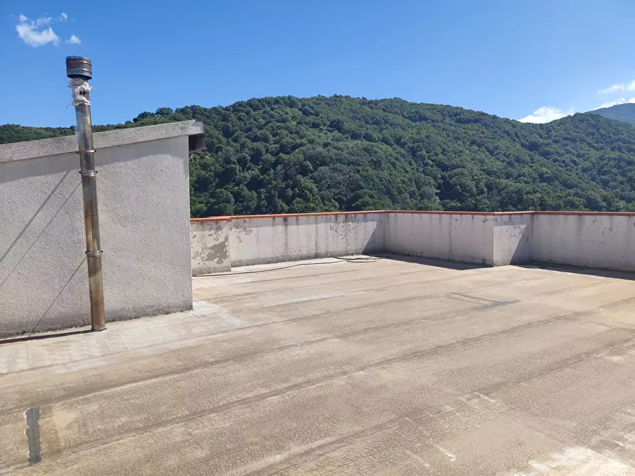 Immagine 40 di Palazzo in vendita  in Via SANTA LUCIA, 41 a Davoli