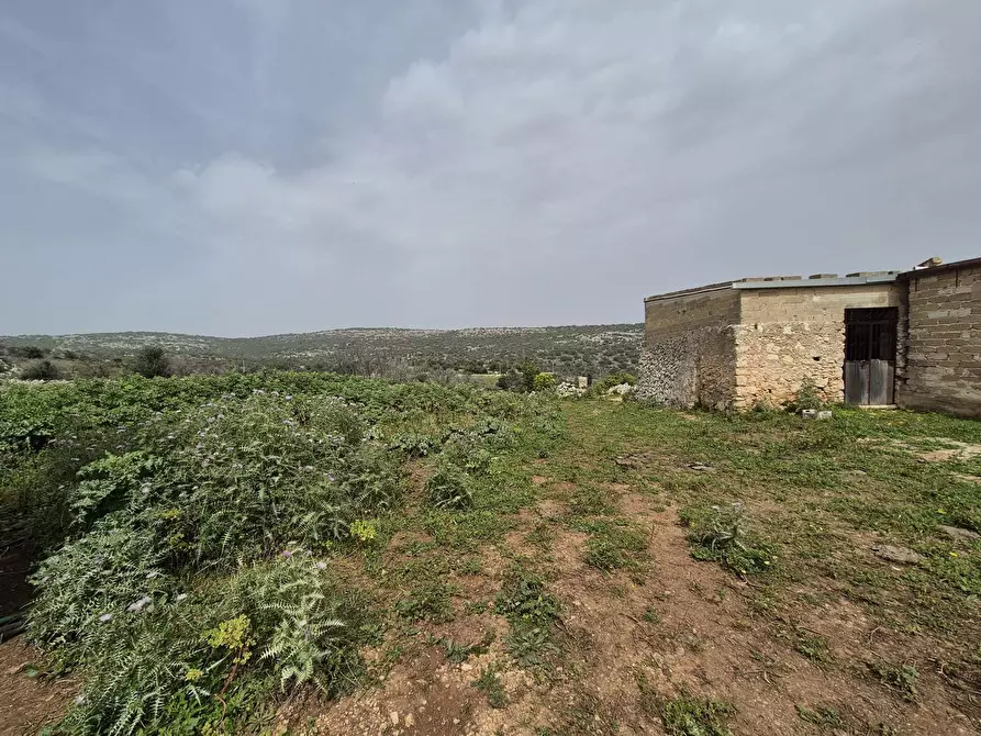 Immagine 23 di Terreno residenziale in vendita  in Contrada cugni, snc a Siracusa