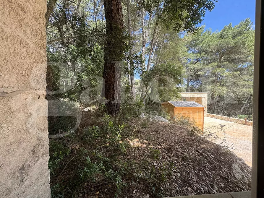 Immagine 17 di Casa bifamiliare in vendita  in Strada Santa Maria, snc a Ruffano