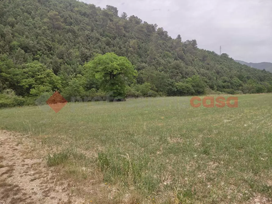 Immagine 6 di Terreno agricolo in vendita  in LocalitÃ  Napoletto a Spoleto