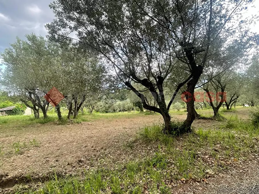 Immagine 11 di Casa indipendente in vendita  in Via paterno, snc a Anagni