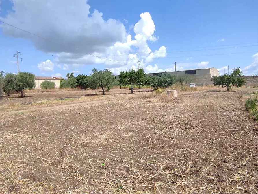Immagine 13 di Terreno agricolo in vendita  in Via SAN ROCCO, SNC a San Severo