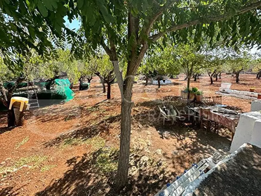 Immagine 25 di Villa in vendita  in Contrada VATO APERTO, sn a Ostuni