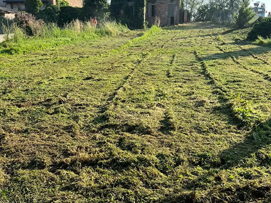 Immagine 6 di Rustico / casale in vendita  in Via CAVARZERE LocalitÃ  Pareole, 43 a Cavarzere