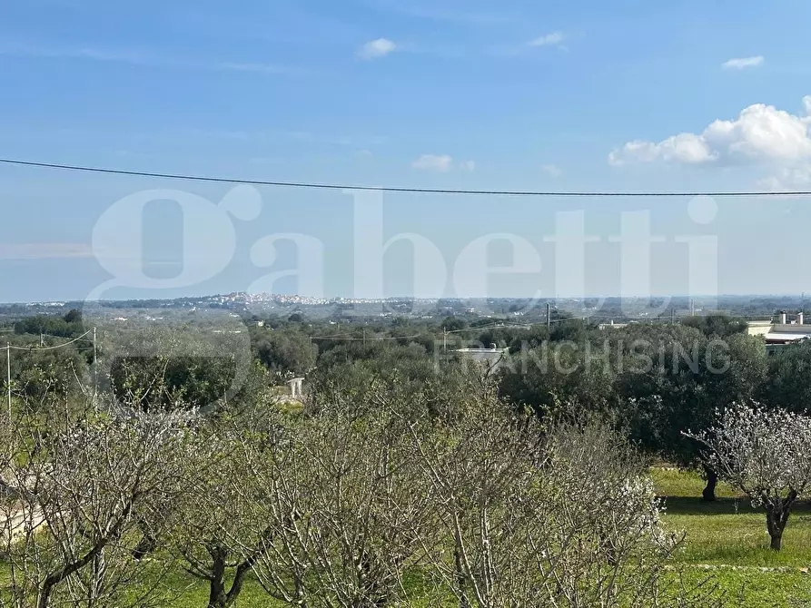 Immagine 19 di Villa in vendita  in Contrada Salinola, sn a Ostuni