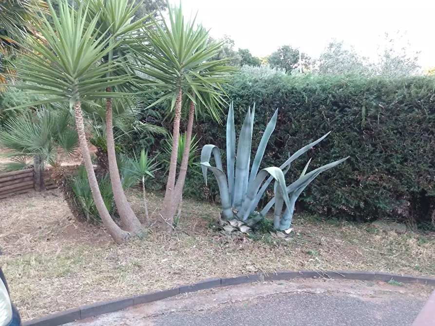 Immagine 43 di Villa in vendita  in LocalitÃ  MULUCCHINI, SNC a Amaroni