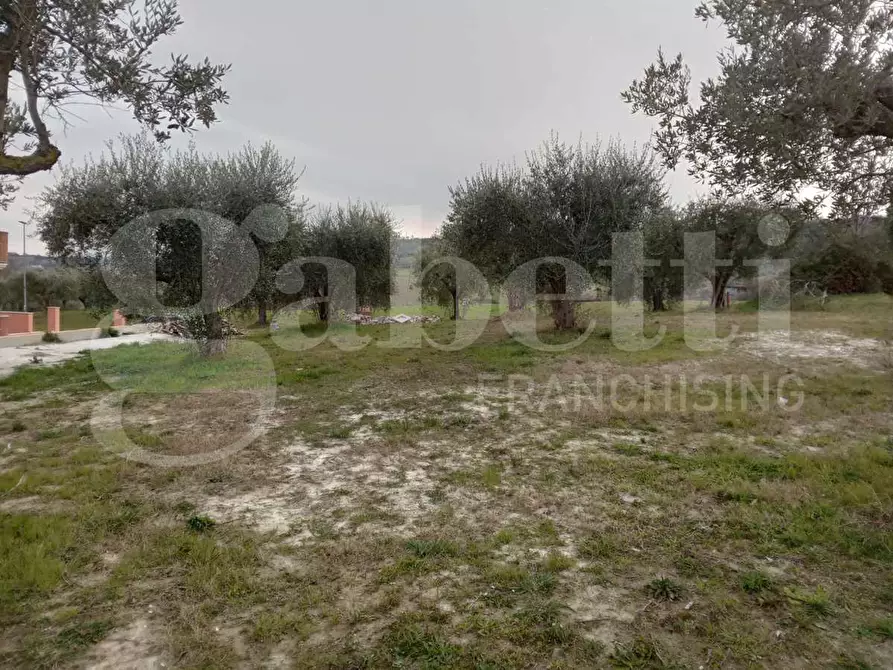 Immagine 7 di Villetta a schiera in vendita  in Via della Madonna, 0 a Campli