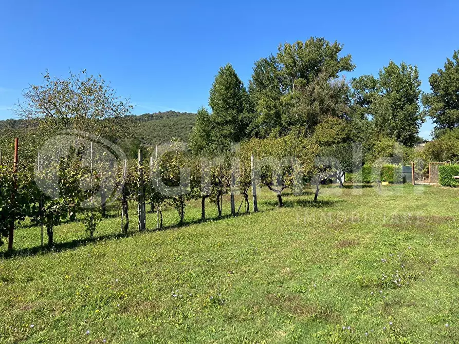 Immagine 2 di Terreno agricolo in vendita  in Via dei prati fioriti a Magione