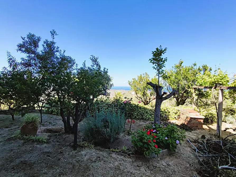 Immagine 9 di Palazzo in vendita  in Via SANTA LUCIA, 41 a Davoli